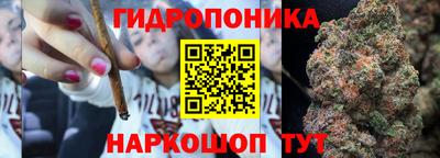 спайс Кимры