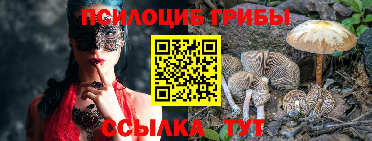 Галлюциногенные грибы Cubensis  Вход с VPN  Каменск-Шахтинский  Галлюциногенные грибы прущие грибы 